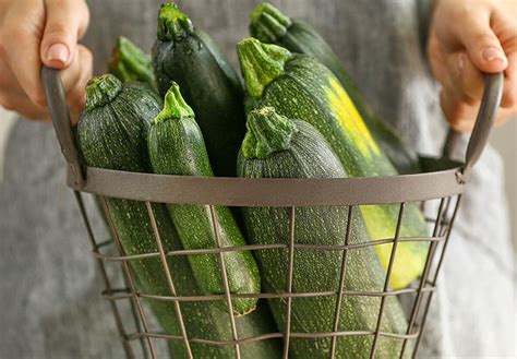 August 8 is National Sneak Some Zucchini Onto Your Neighbor's Porch Day, but why?